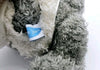 Me to You 6" bear with jacket - Teddy Bear - Toys