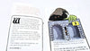 The Dungeons Of Doom Issue 1- The Masters First Challenge - Mini Adventure Comic
