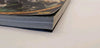 World Of Warcraft Mists Of Pandaria Guide Book Pc Brady Games - Book