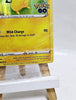 Pikachu 028/078 - Holo Rare - Pokémon GO - Sealed Promo - Pokémon TCG