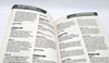 NGamer's Guides - Pokémon Heart Gold/Soul Silver and Zelda Spirit Tracks - Book