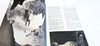 Star Wars Storybook Collection 1978, 2x StoryBook, 2x Annuals & Top Trump - Book