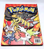 Pokémon Encyclopedia (Updated & Expanded) & Pokémon 2010 Annual - Hardback Books